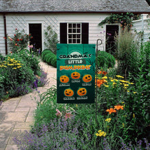 Load image into Gallery viewer, PERSONALIZED GRANDMA’S LITTLE PUMPKINS HALLOWEEN FLAG