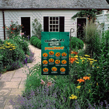 Load image into Gallery viewer, PERSONALIZED GRANDMA’S LITTLE PUMPKINS HALLOWEEN FLAG